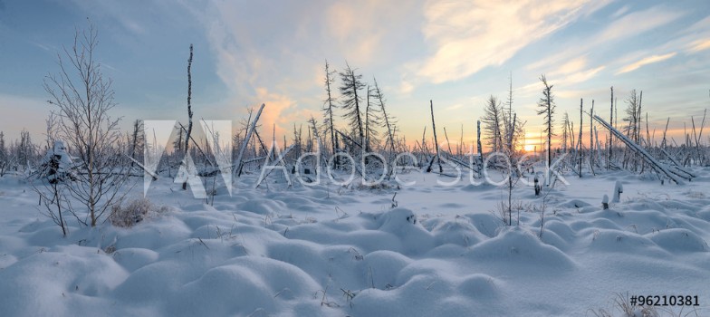 Bild på Panorama of the winter landscape of taiga the Yamal Peninsula